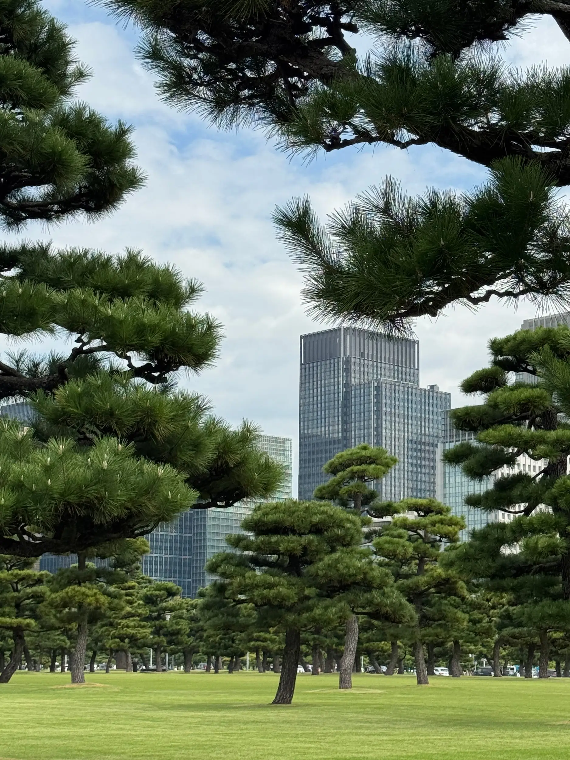 Япония, день 4, фото 1