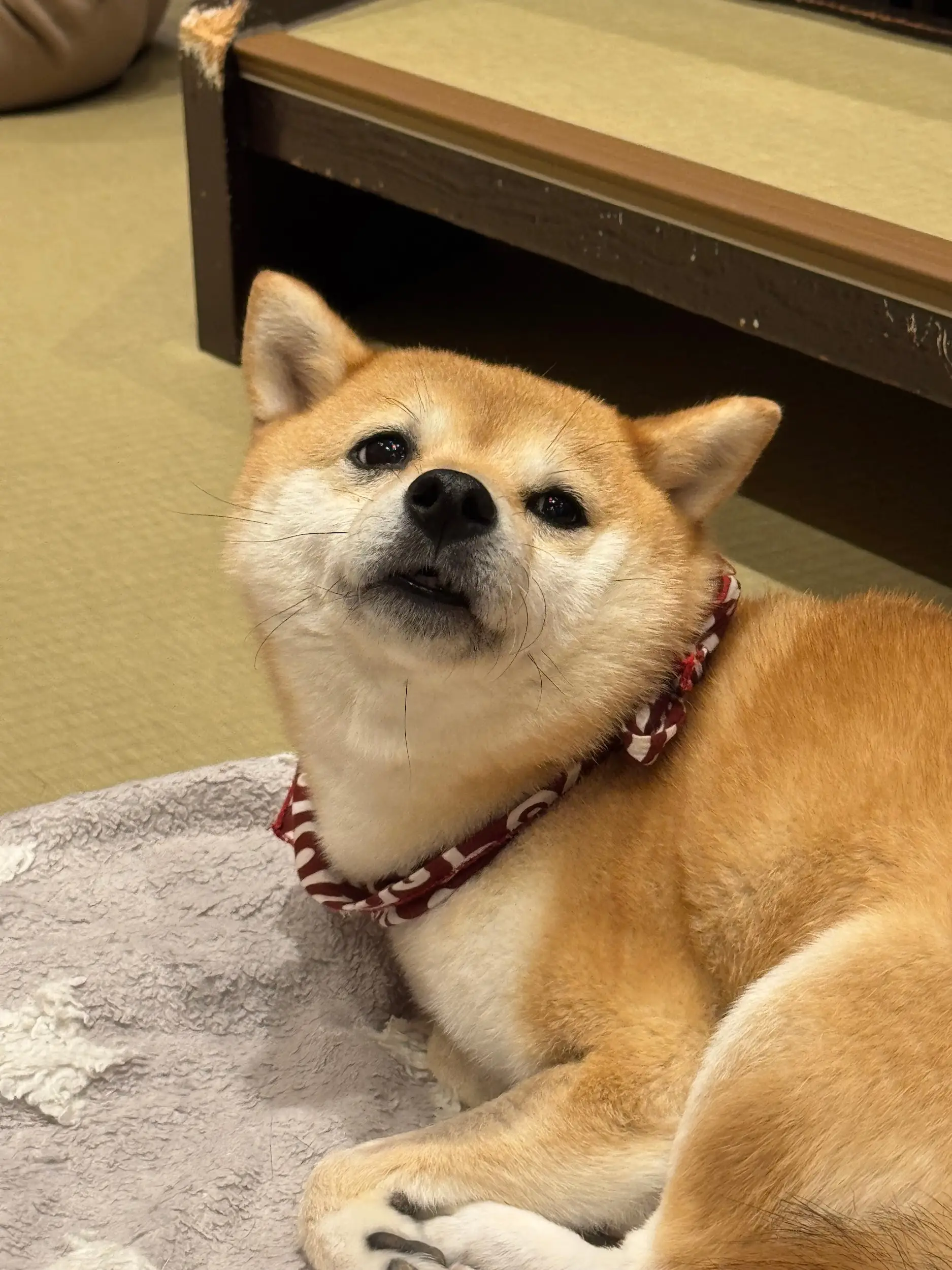 Япония, день 7, фото 4